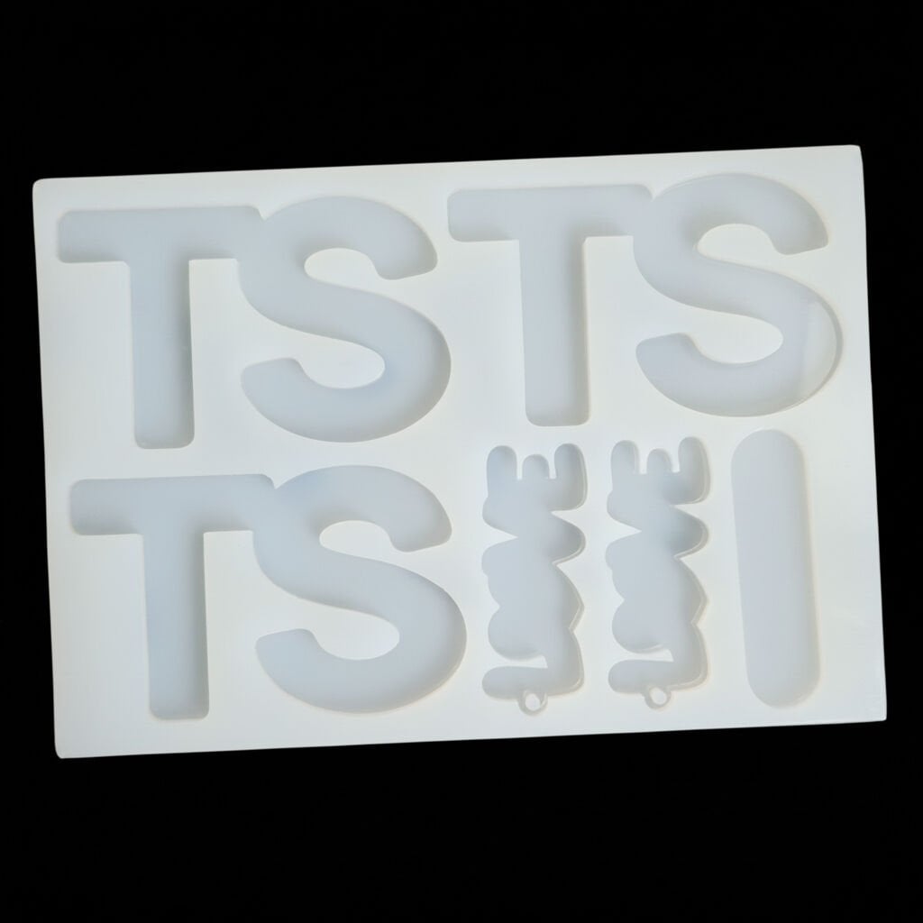 TS Magnet Kalıbı